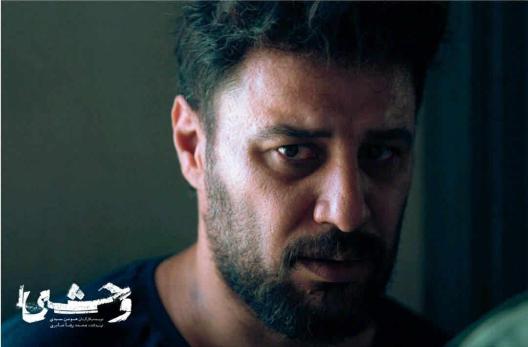 سریال «وحشی» عقب‌گردی در کارنامه هومن سیدی است؟