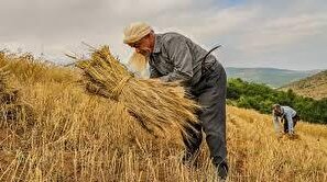 خدمات ویژه صندوق بیمه اجتماعی کشاورزان و روستاییان چیست؟